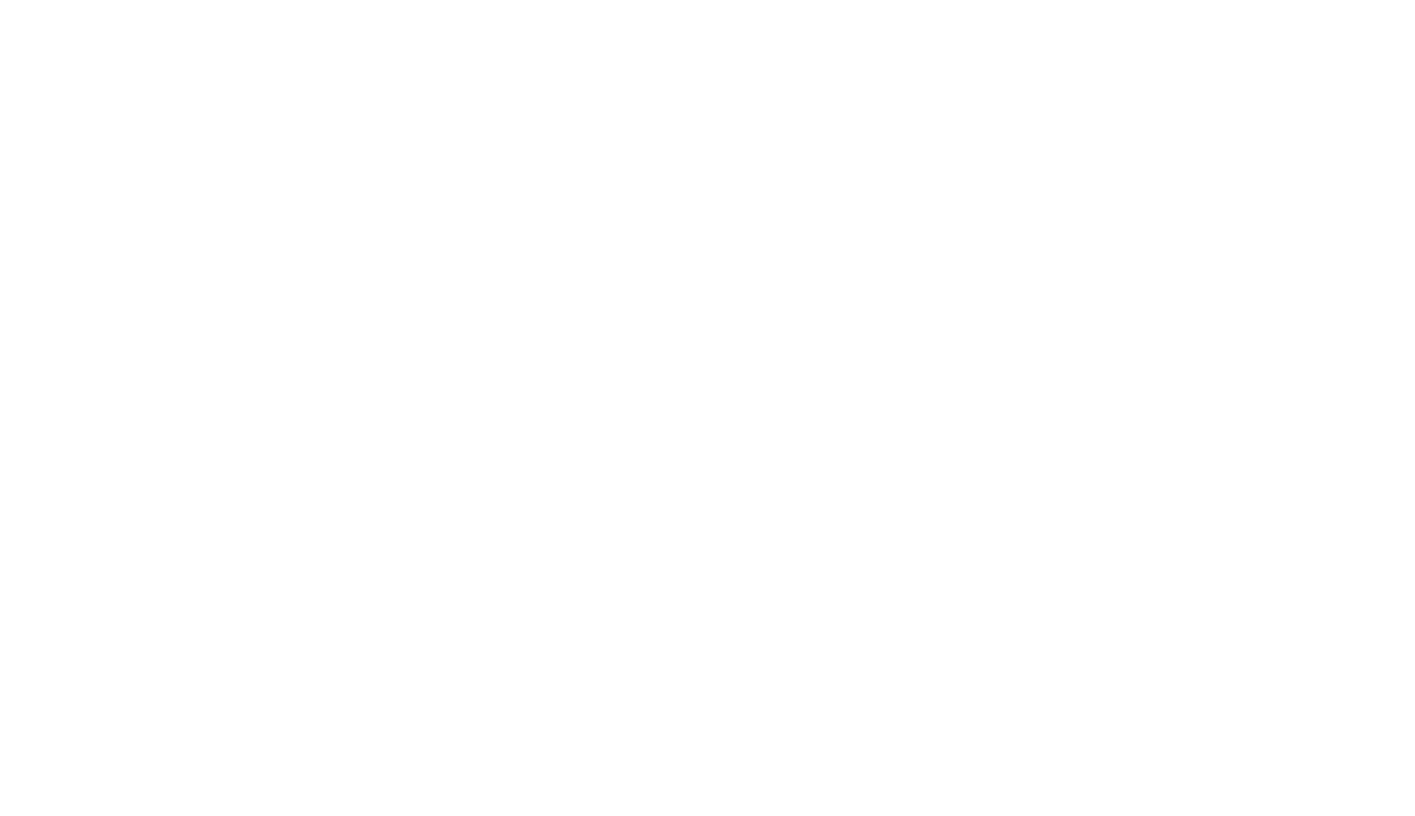 The Narrative Lens Videography Logo (White x Transparent)